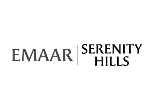 Developer Logo